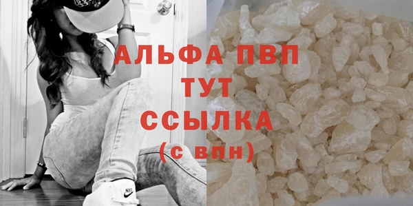 СК Верея