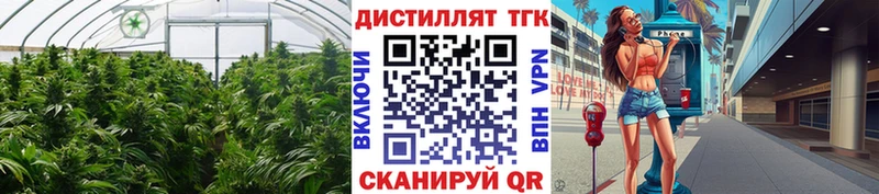 Дистиллят ТГК концентрат  Купить  Макаров 